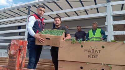 Afyonkarahisar’da 2 milyon TL’lik yüzde 50 hibe destekli ‘Domates Yetiştiriciliğinin